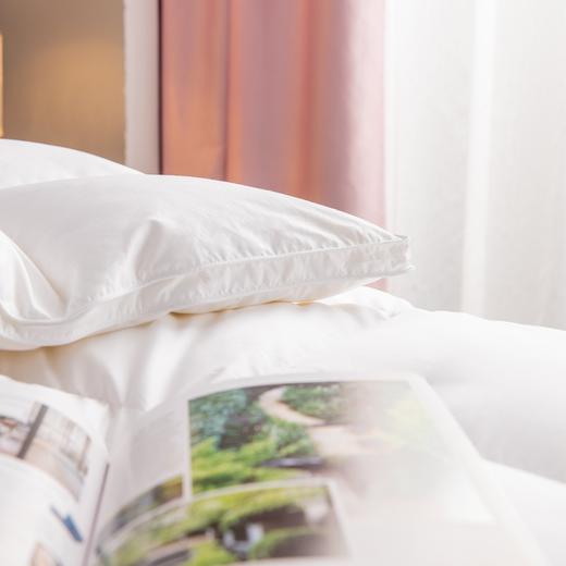 【斌哥优选】恒源祥 西伯利亚进口白鹅绒  高端静音鹅绒被 精选腹部大朵绒 立体填充 被面升级静音 1件充绒量相当于8件羽绒服 抵御西伯利亚的严寒（单被子） 商品图7