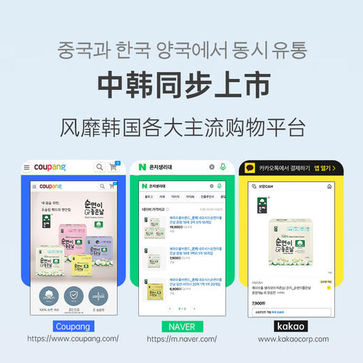 恩芝 天然纯棉夜用卫生巾 28cm 12P 商品图5