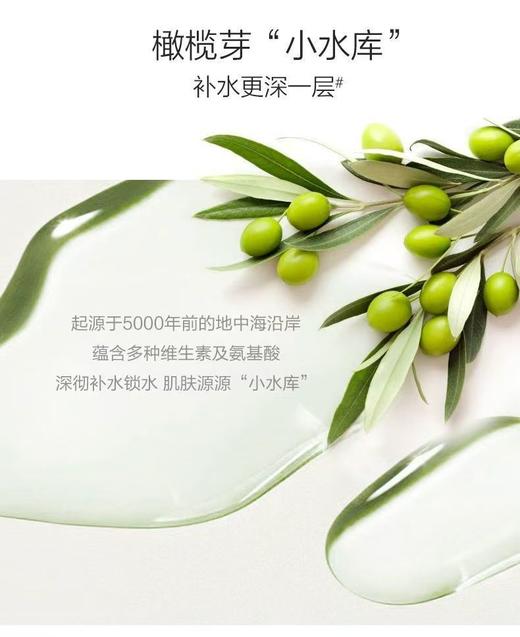 一叶子橄榄芽鲜补水保湿精华液30ml新款-4525 深度补水 缓解干燥 商品图5