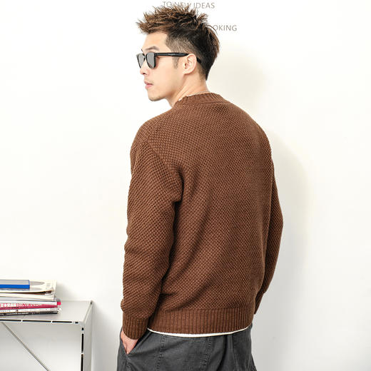 徐太浪【菠萝纹 亨利领】纯色百搭毛衣男秋冬休闲内搭打底衫上衣 商品图1