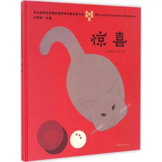 【独家旧书3折】精装儿童绘本 惊喜 二手书籍（新疆 西藏 甘肃 青海 海南不包邮）bj 商品图0