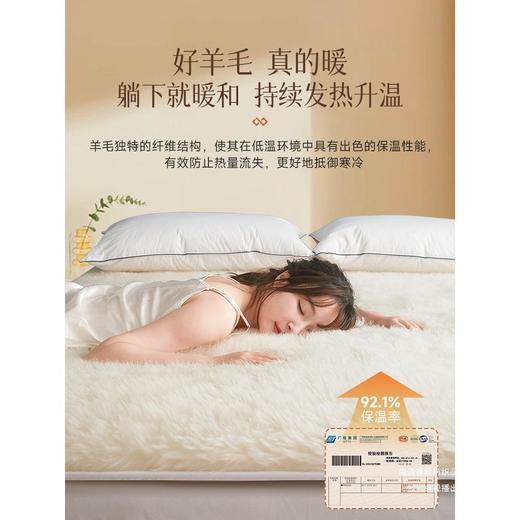 【百分百澳洲羊毛床垫】羊毛床垫床褥冬季羊羔绒毛毯冬天加厚保暖垫被褥子铺底 商品图2