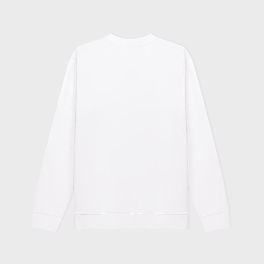 【新品上新】HX 春秋季圆领卫衣S106533073101/02/03 商品图1