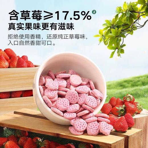 宝宝馋了饼干类合集 商品图3