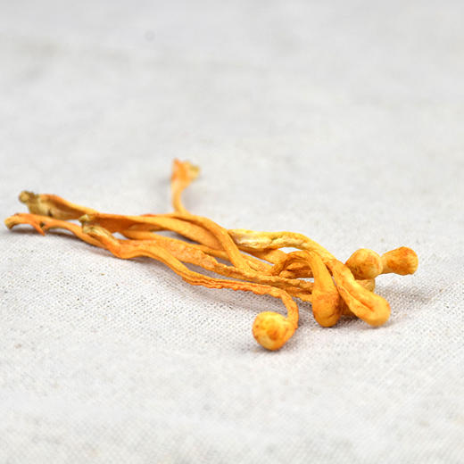 长岭尖原野精选虫草花100g*2袋—rx 商品图3