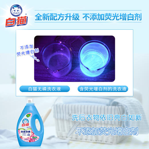 白猫除菌除螨无磷洗衣液新瓶2kg—rxs 商品图1