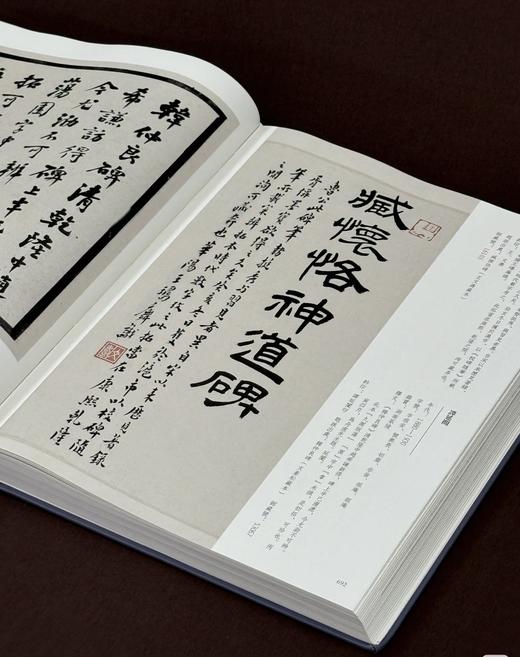 《中国金石家题跋图典》，精装全两册，16开，仲威著，文物出版社2025年3月一版一印，定价：580，售价：430。 商品图6
