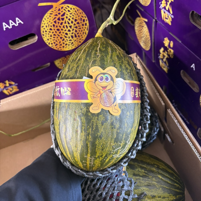 山东斗牛蜜瓜一个