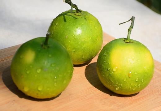 【云南冰糖橙】皮‎薄多汁，纯甜‎无​酸‎，果​肉鲜嫩，不‎打‎腊‎，不​催‎黄，不‎打​甜蜜素-CC 商品图7