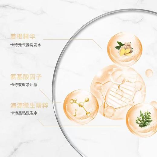 【双旦礼遇季 秋冬焕新】KERASTASE卡诗元气姜白金双重自在瓶洗发露 控油蓬松 滋润发丝500ml 商品图2
