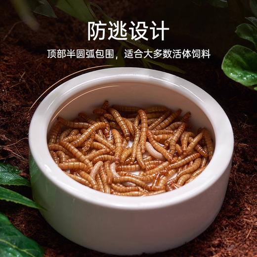 SuperRep 爬宠食盆 爬虫蜥蜴守宫鬃狮 面包虫大麦虫防逃逸陶瓷盆-分销 商品图2