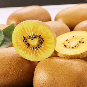 阳光金果G3猕猴桃【29元购24枚】丨一口爆汁 行走的"维C"