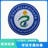 通版深圳市宝安区立新湖外国语学校校徽款布标姓名贴可熨烫现货51 商品缩略图0