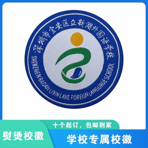 通版深圳市宝安区立新湖外国语学校校徽款布标姓名贴可熨烫现货51 商品图0