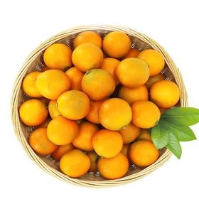 【超市】新鲜金桔 约400g
