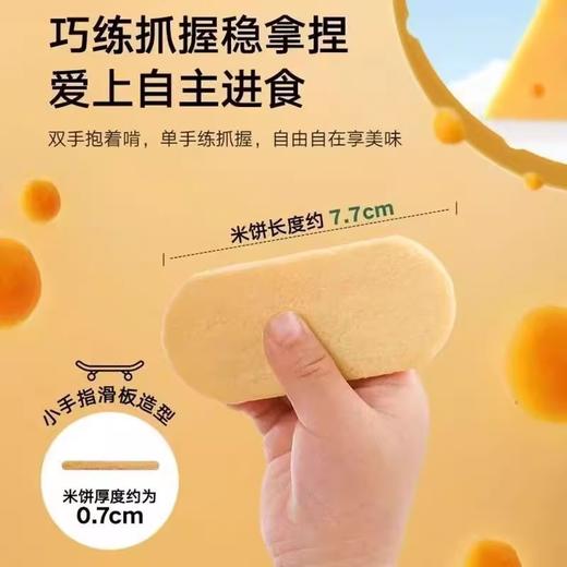 宝宝馋了婴幼儿益生菌冻干米饼20g 商品图4