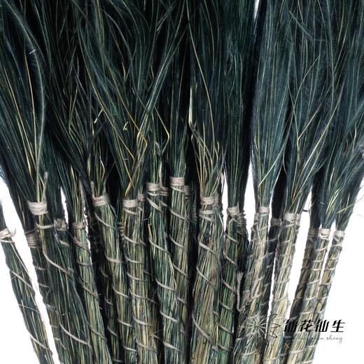 荷兰花材 | 针茅墨黑色 商品图1