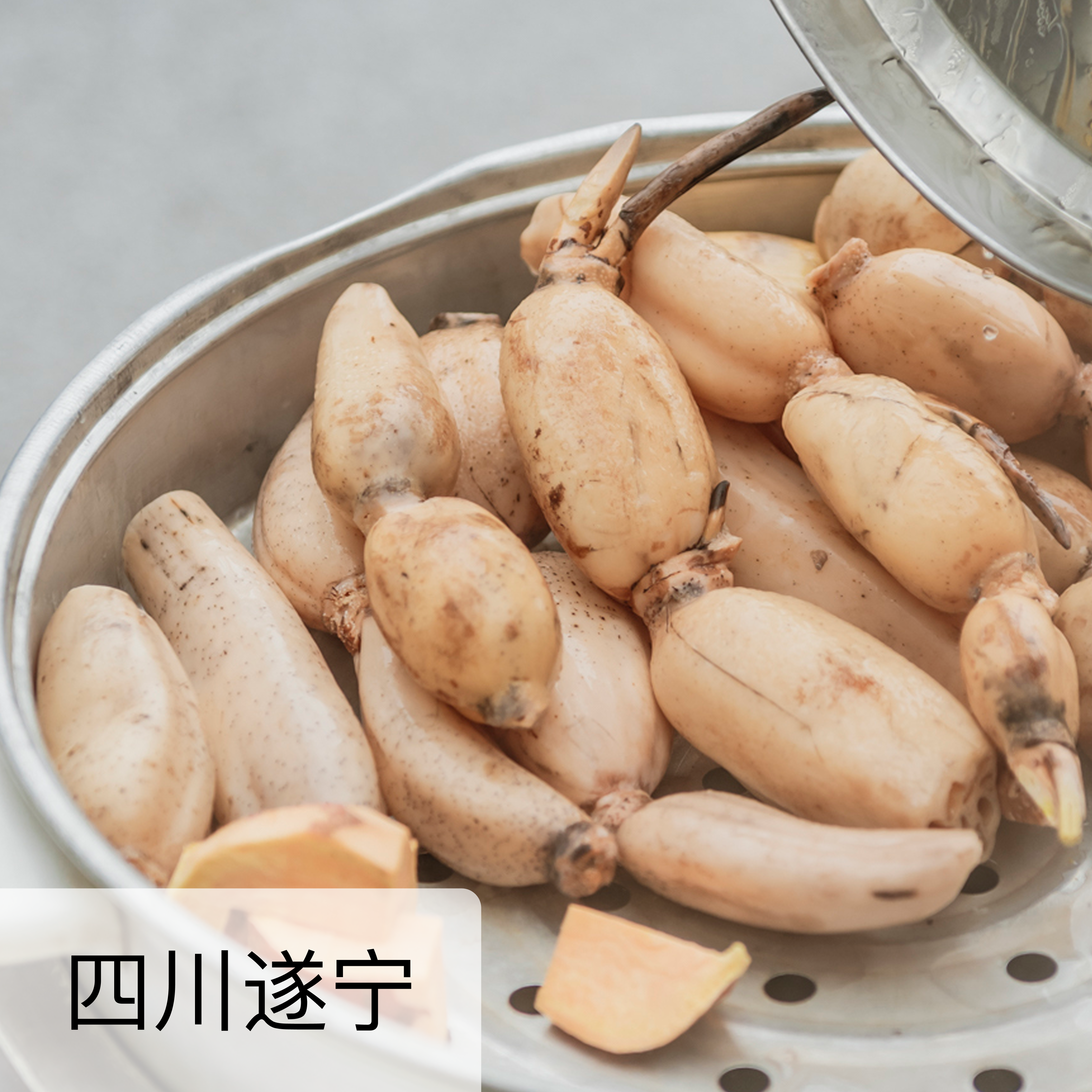 生态莲藕（脆藕和粉藕）