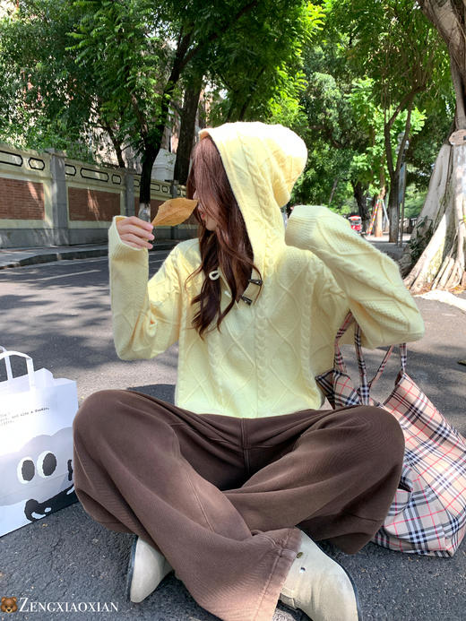 <曾小咸推荐> 现货秒杀！微信超特价！黄色连帽套头毛衣 日常189.99 立减90 秒杀99.99！ 商品图9