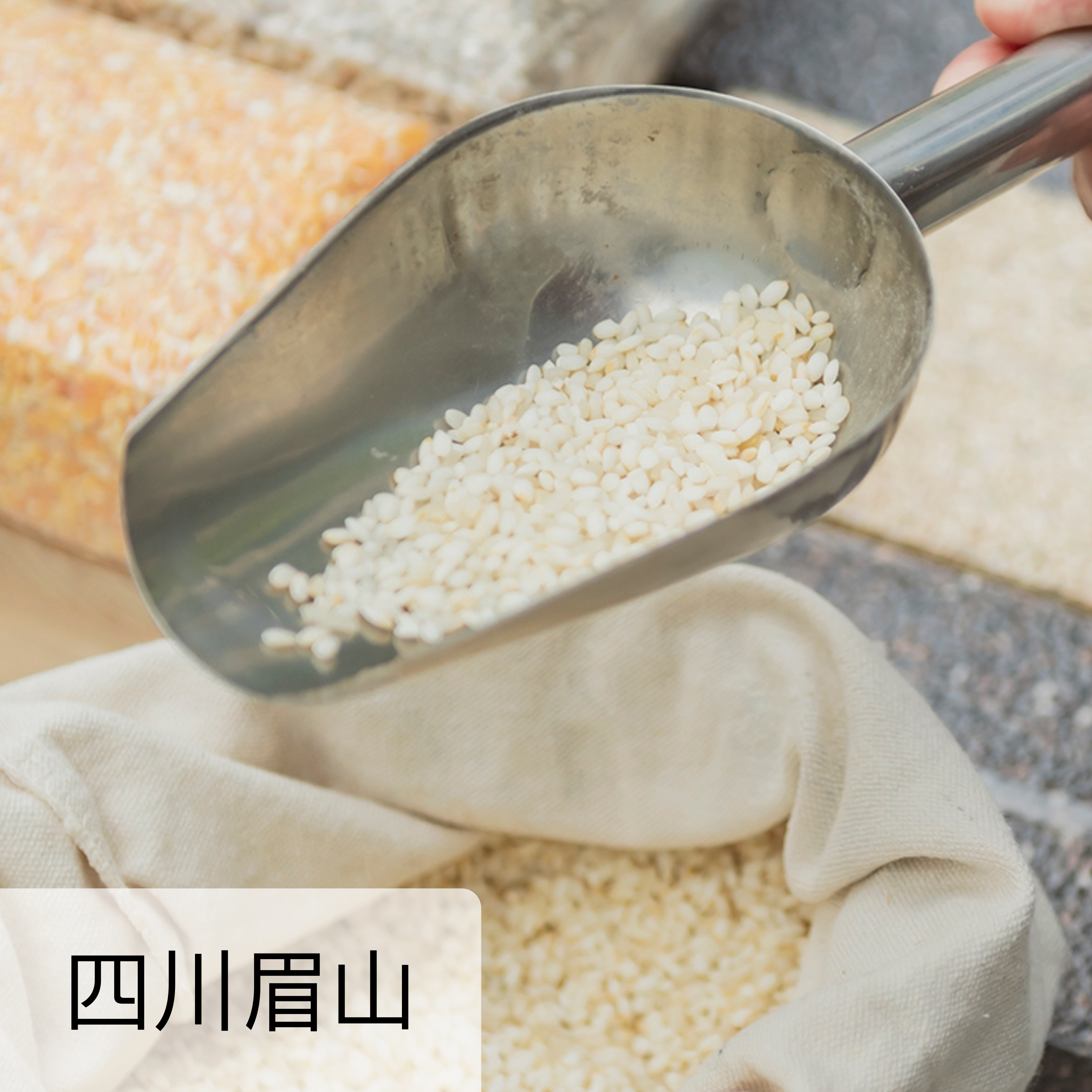 红嘴谷糯米 5斤装