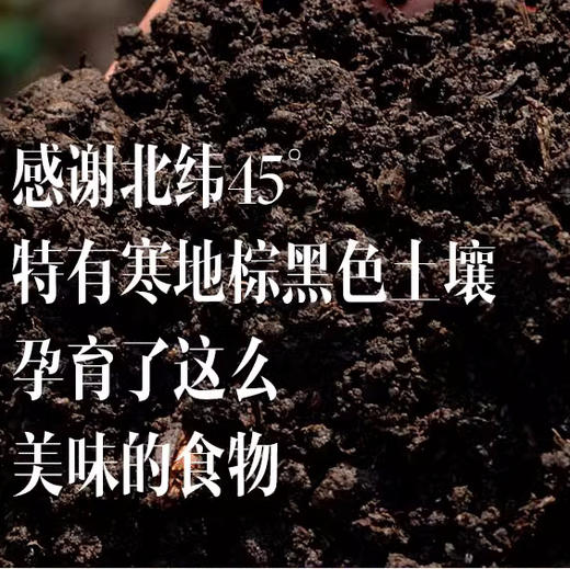 有机稻花香2号大米是外香型稻米，手搓后手会留有淡淡余香，如果是浓香，很有可能是添加了香精的大米 商品图3