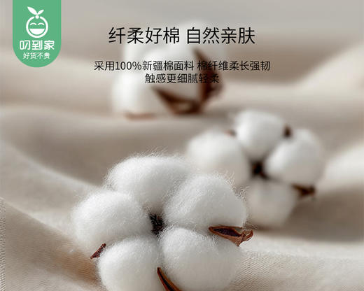 佳丽斯60S全棉四件套-慕颜（床单款-玉）/1套（被套200*230cm，适合1.5/1.8m床）补单专用 商品图2