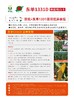 东亚种业东单1331D转基因玉米种子5000粒 商品缩略图1