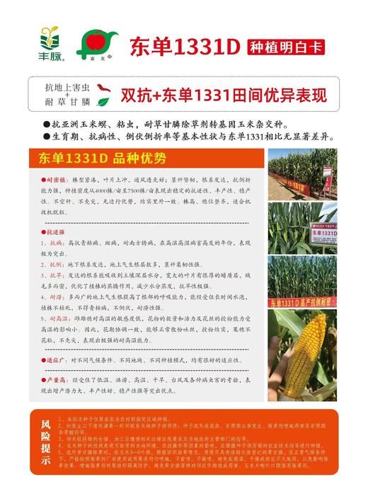 东亚种业东单1331D转基因玉米种子5000粒 商品图1