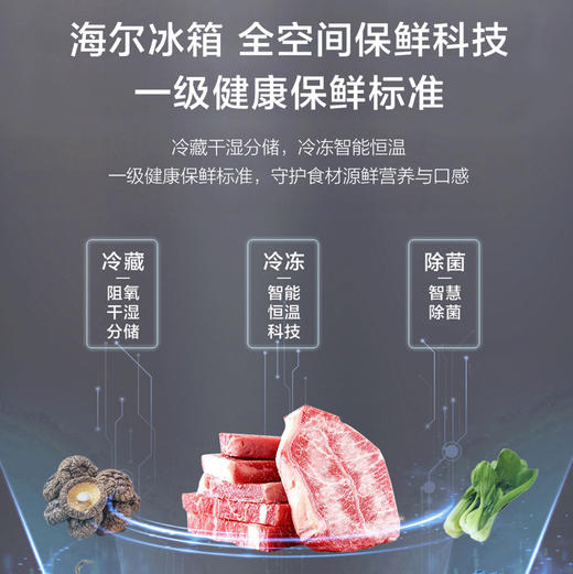 海尔（Haier）冰箱 BCD-553WGHFD14XNU1 商品图8