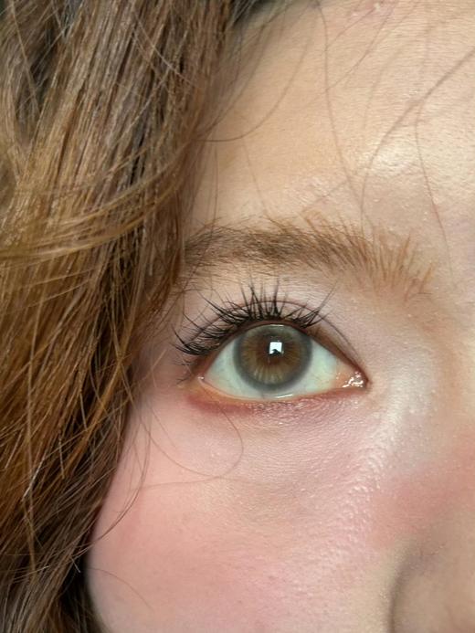 liliyacon 半年抛 落日松木（主图1-2）/浮光青木（主图3） 直径14.2mm 商品图2