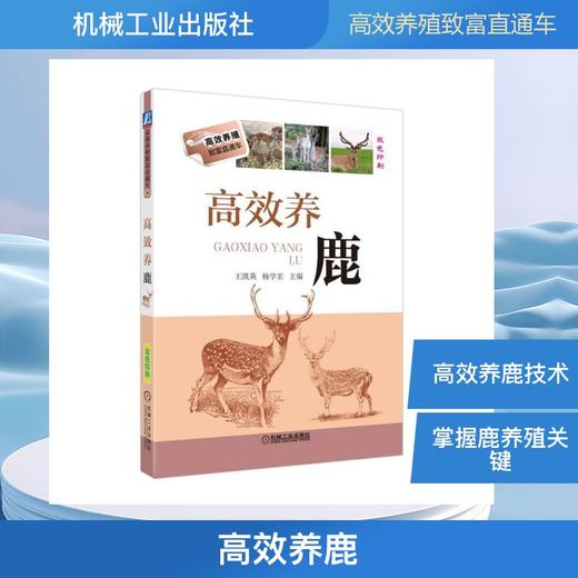 高效养鹿 商品图0