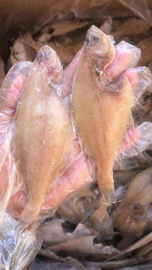 【京东/顺丰包邮】深海小蝶鱼（三去） 一根主刺 肉质非常非常细腻 真正意义上没有腥味的海鱼基地直邮 商品图5