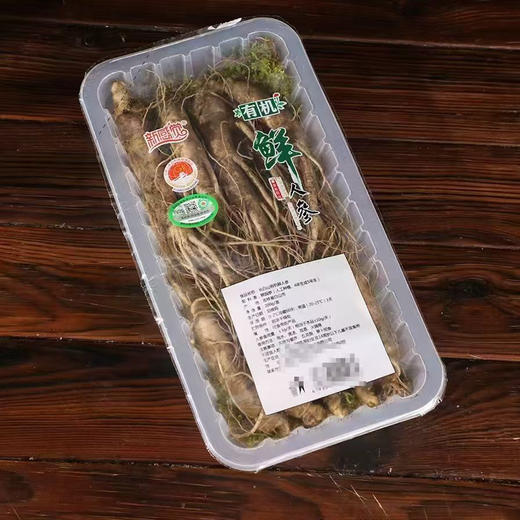 有机吉林长白山鲜人参（4-5年生）品质之选，您值得拥有！ 商品图3
