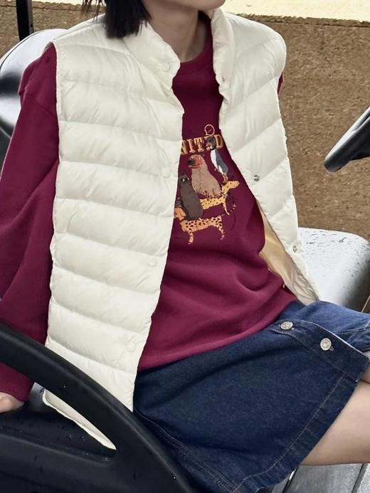 （预售七天发）高端设计师女装｜蒙家同款女士立领轻薄款鹅绒马甲！4色可选，可轻松搭配T恤或外套穿着，过渡季节，叠穿必不可少！无标发货，10.16日上新！WD 商品图7