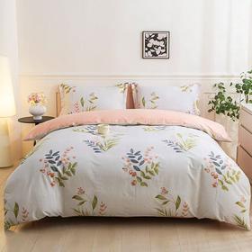 10楼恐龙  全棉印花四件套 200*230cm   吊牌价1380元 活动价299元