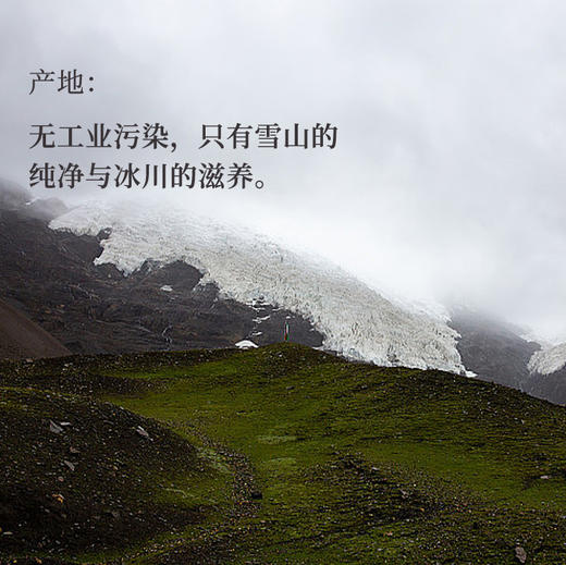 守艺 · 雪域白茶100克/饼  西藏高原2020年 商品图4