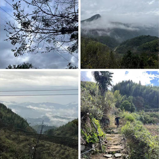 野生酸枣糕 200g*2罐 商品图7