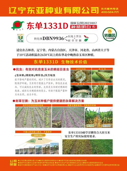 东亚种业东单1331D转基因玉米种子5000粒 商品图2