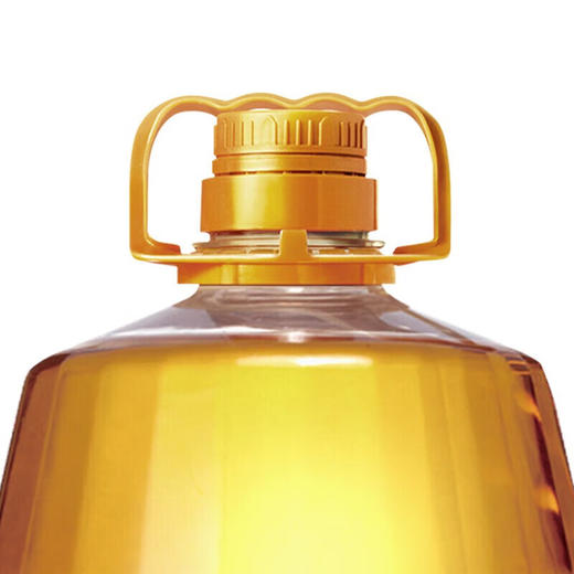 【发出后不支持拦截退货】胡姬花 金衣玉食花生油 5L 商品图4