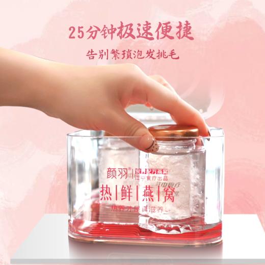 江中食疗 颜羽热鲜燕窝干燕窝 1.6g / 2.8g含量可选 滋补品营养 礼盒 全国包邮 2025年9月份生产 保质期36个月 商品图2