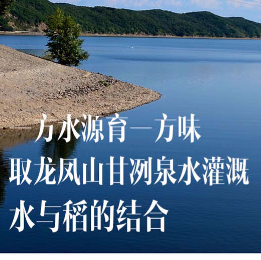 有机稻花香2号大米是外香型稻米，手搓后手会留有淡淡余香，如果是浓香，很有可能是添加了香精的大米 商品图4