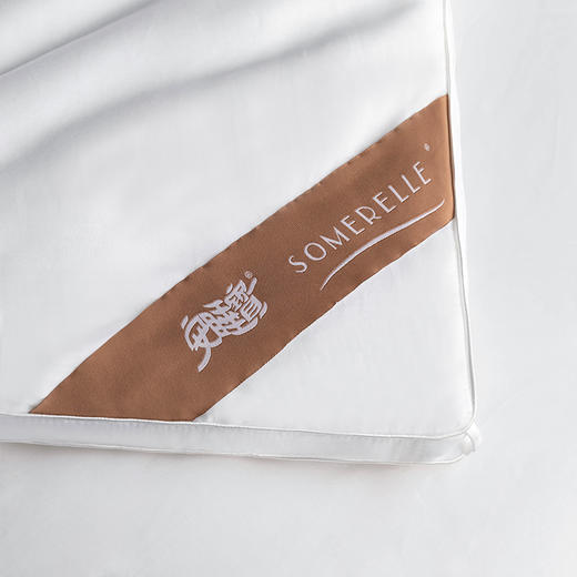 【云粉节】【云粉节】10楼 安睡宝 植物真丝A类蛋白美肤冬被 吊牌价2199-2899元 活动价599-799元 商品图5