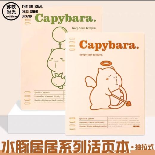 苏铁时光活页夹/B5/水豚居居 商品图0