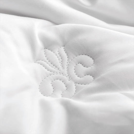 【云粉节】【云粉节】10楼 安睡宝 植物真丝A类蛋白美肤冬被 吊牌价2199-2899元 活动价599-799元 商品图2