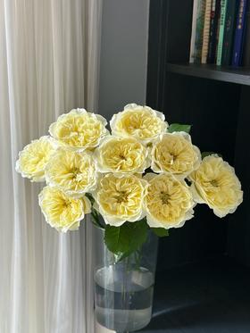 国产精品单头玫瑰花窒息10支