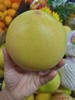一个红柚 商品缩略图0