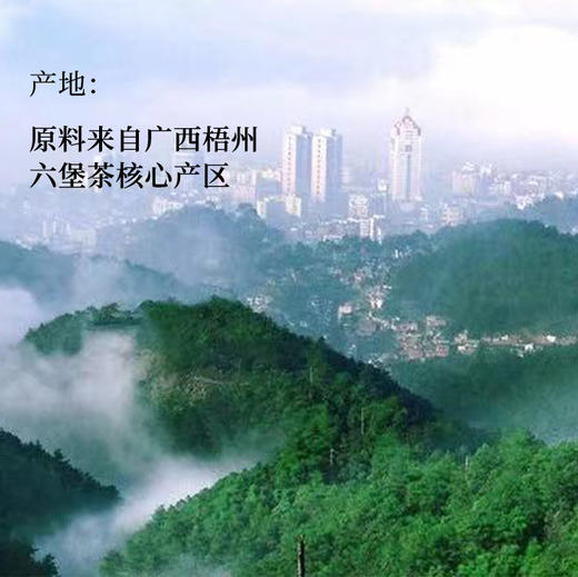 暖黑 · 2002年老六堡 桂青原种 50克 | 问山严选 黑茶 商品图4