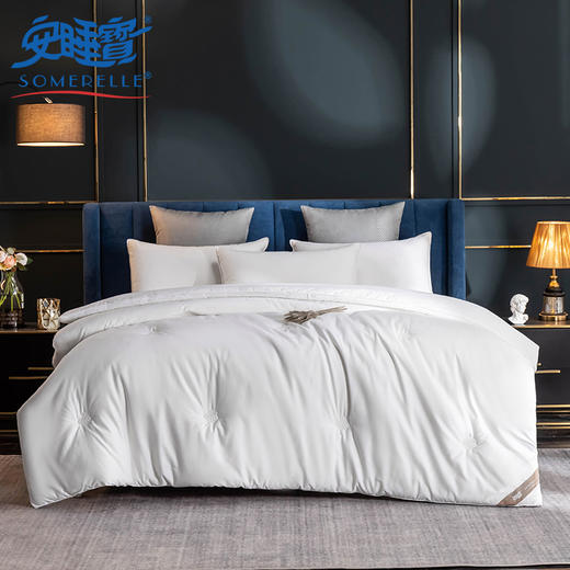 【云粉节】【云粉节】10楼 安睡宝 植物真丝A类蛋白美肤冬被 吊牌价2199-2899元 活动价599-799元 商品图1