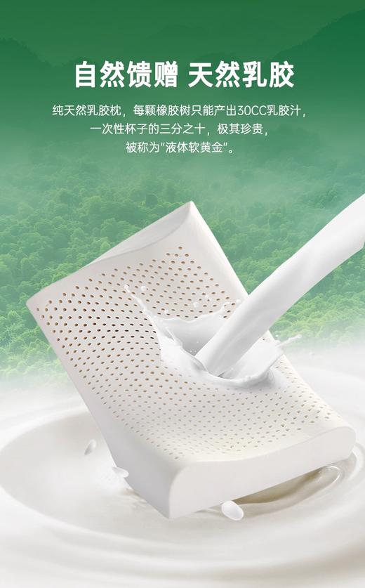【春上新】10楼 安睡宝 针织透气乳胶枕-成人款 40*60*10/8cm 吊牌价999元/只 活动价299元/只 商品图3