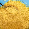 内蒙敖汉有机小米 商品缩略图1